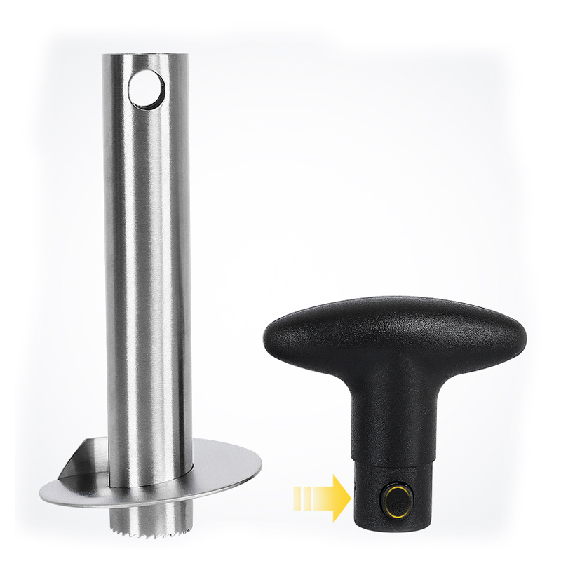 1Pc Stainless Steel Easy to us - Pineapple Corer Slicer recension och pris